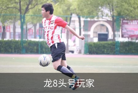 龙8头号玩家品牌故事